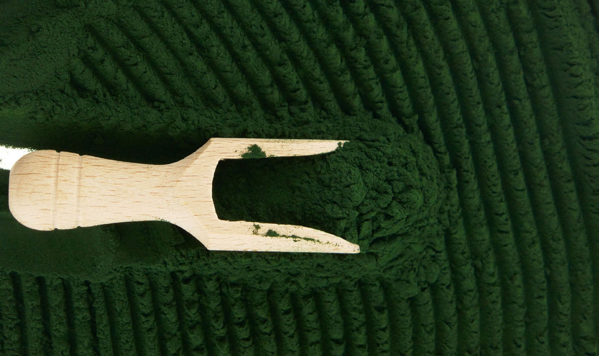 Alga Spirulina: World Wide Super Food