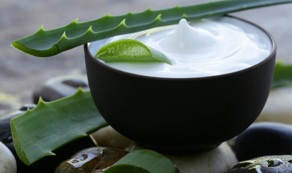 Le proprietà cosmetiche dell’Aloe Vera