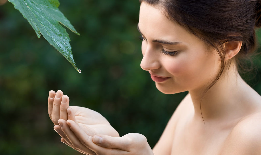Alcuni Principi Attivi vegetali utilizzati nella formulazione dei cosmetici naturali