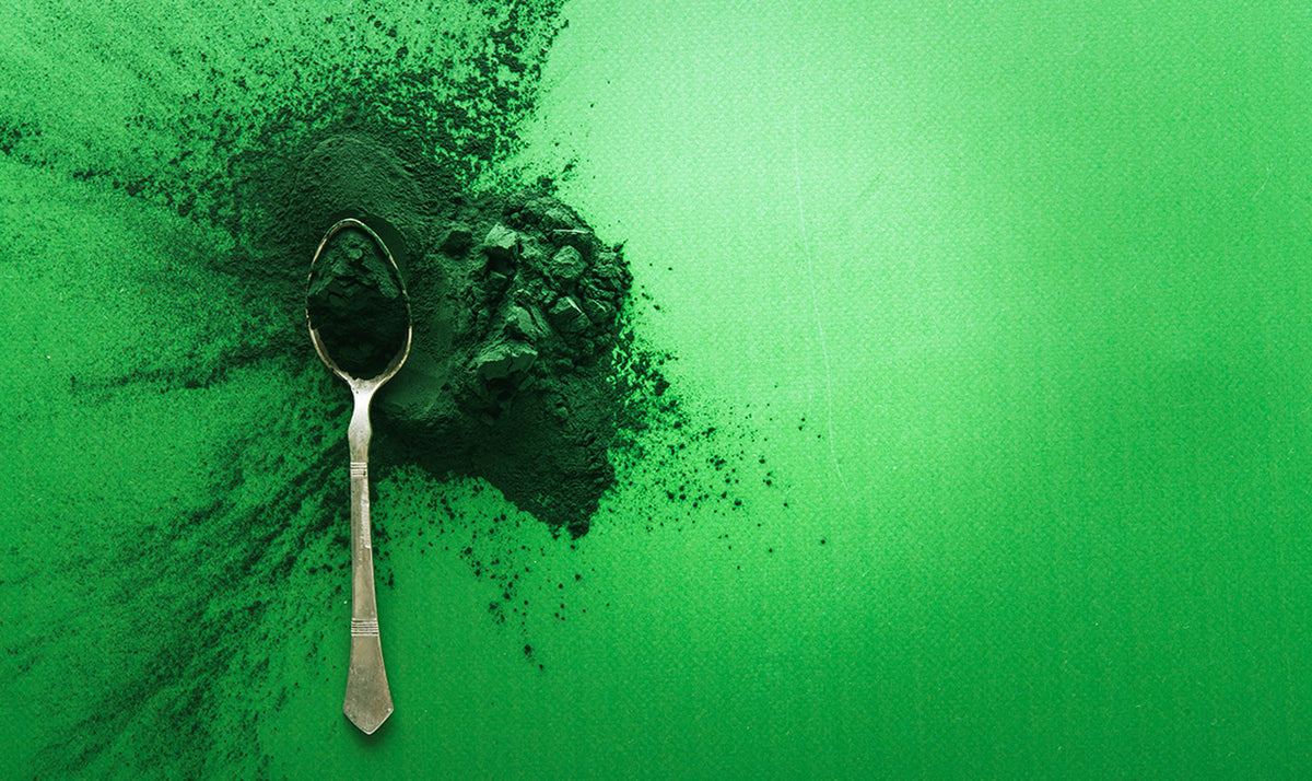 Alga spirulina: effetti benefici a prova di radiazioni