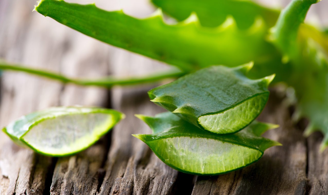 pomata di aloe vera